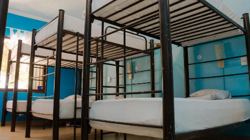 3B Wellness Hostel image 26