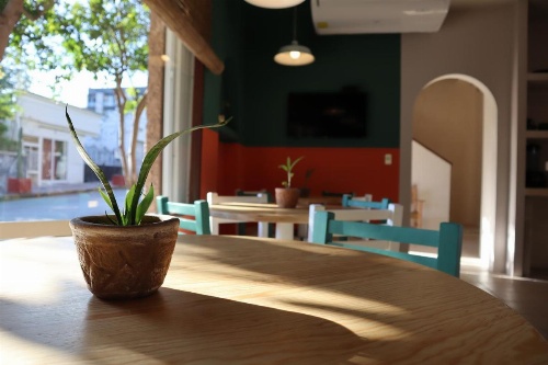 3B Wellness Hostel image 6